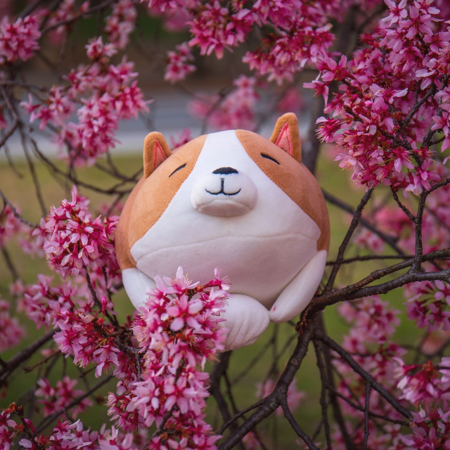 Bow Bao: Soft Corgi Animal Plushies - - Classic Brown